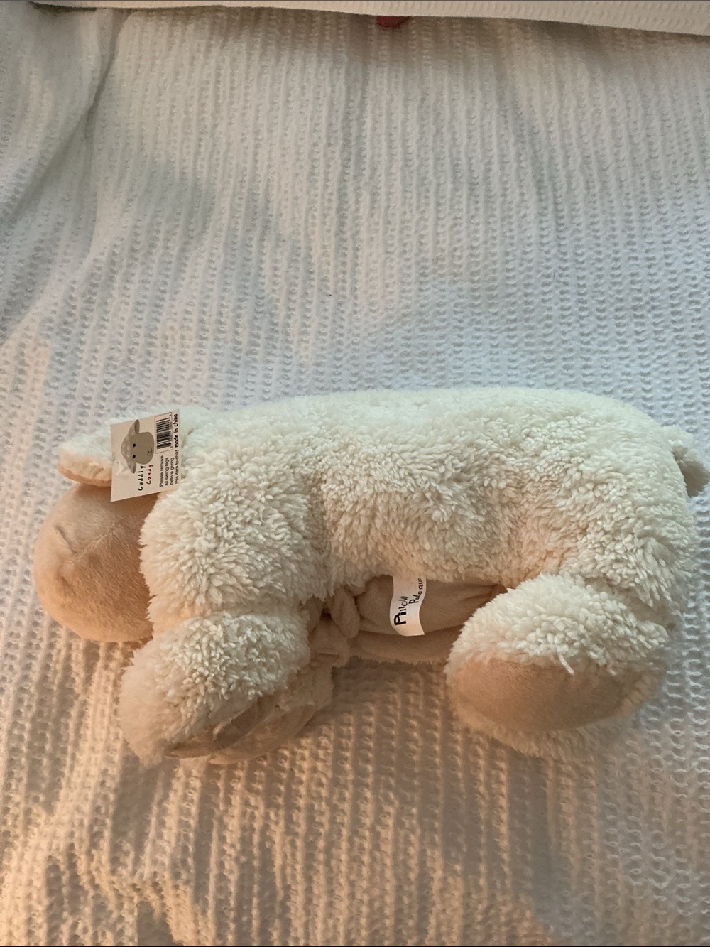 Plush SOFT Cream LAMB Animal Pillow in Clear Carry Case. NWT